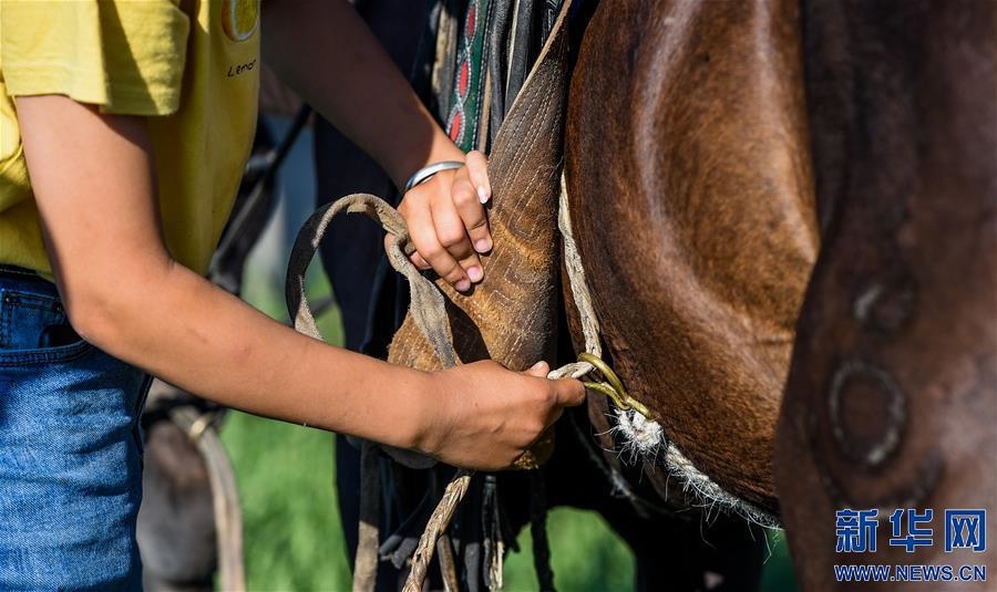 (特別的暑期生活·圖片故事)(7)草原女孩錫林花的暑期“歡樂時光”