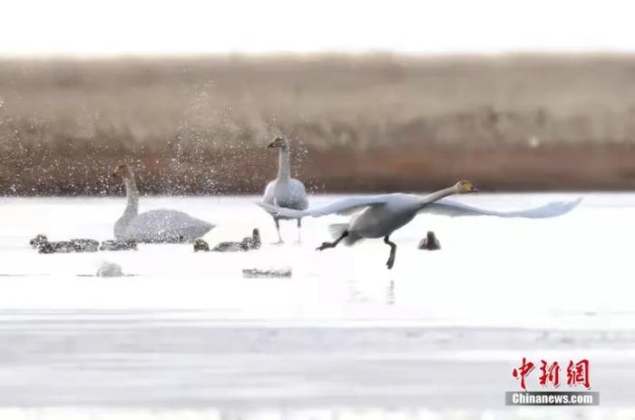 點(diǎn)擊進(jìn)入下一頁