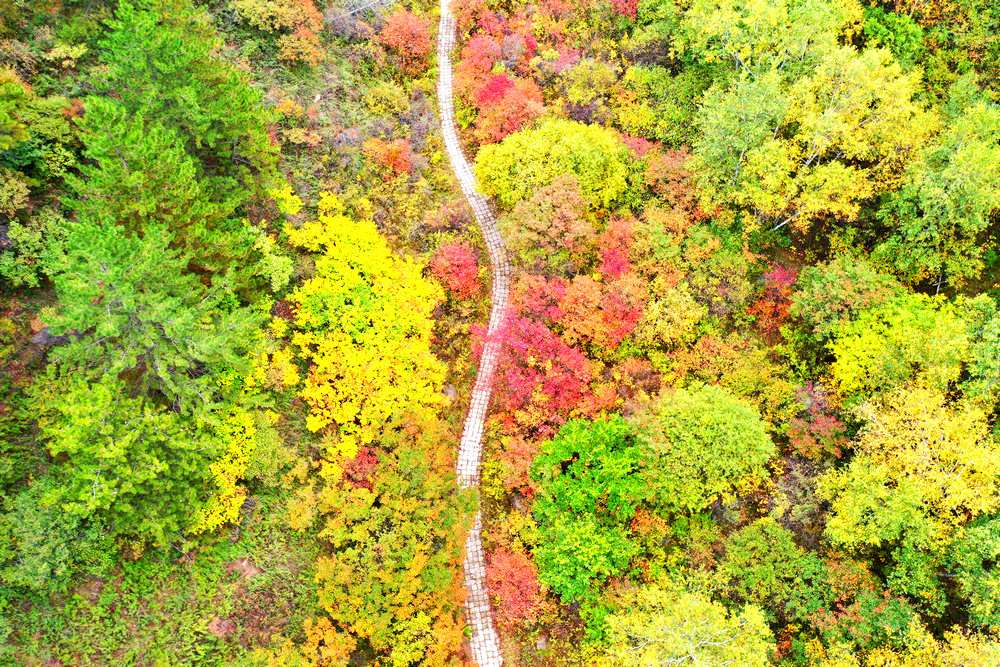二龍什臺(tái):漫山遍野披彩妝
