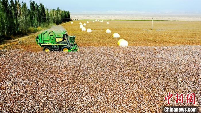 近年來，當(dāng)?shù)孛藁ǚN植戶的生產(chǎn)生活發(fā)生了翻天覆地的變化?！《?攝