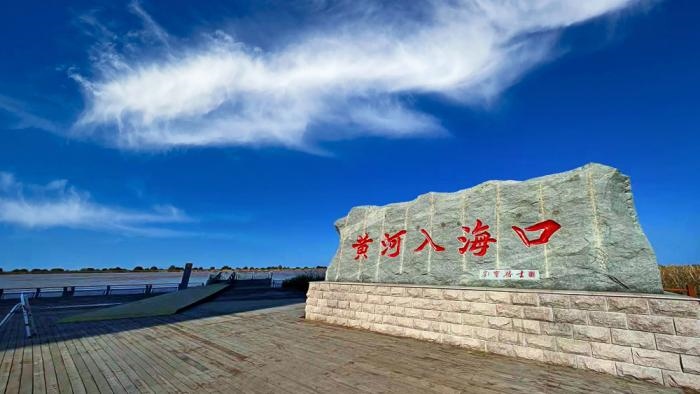 △黃河入海口位于山東東營市墾利區(qū)。(總臺央視記者彭漢明拍攝)