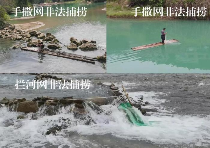 2021年9—10月，前期暗查發(fā)現(xiàn)，保護(hù)區(qū)核心區(qū)內(nèi)非法捕撈行為十分猖獗