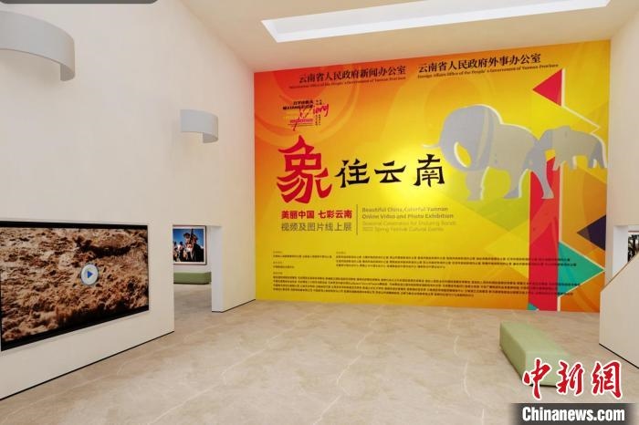 圖為“象”往云南——美麗中國 七彩云南視頻及圖片線上展截圖?！『h航 攝