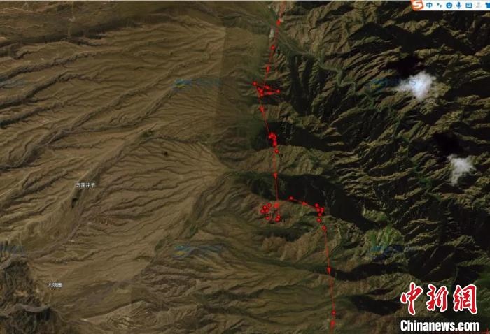 圖為雪豹故地重游來到放歸地的足跡?！?nèi)蒙古賀蘭山國家級(jí)自然保護(hù)區(qū)供圖