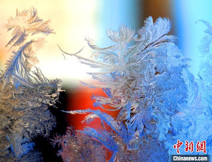 冰窗花千姿百態(tài)?！O書程 攝