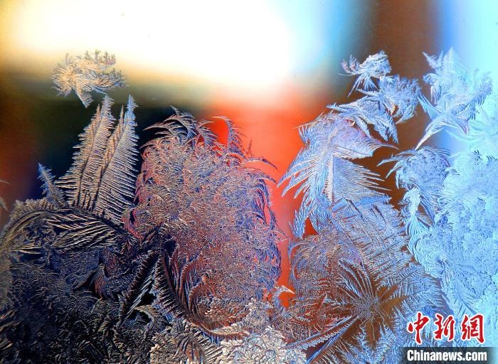 惟妙惟肖的冰窗花，似一幅風(fēng)景畫?！O書程 攝