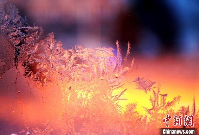 迎著光亮，冰窗花絢麗多姿。　孫書程 攝