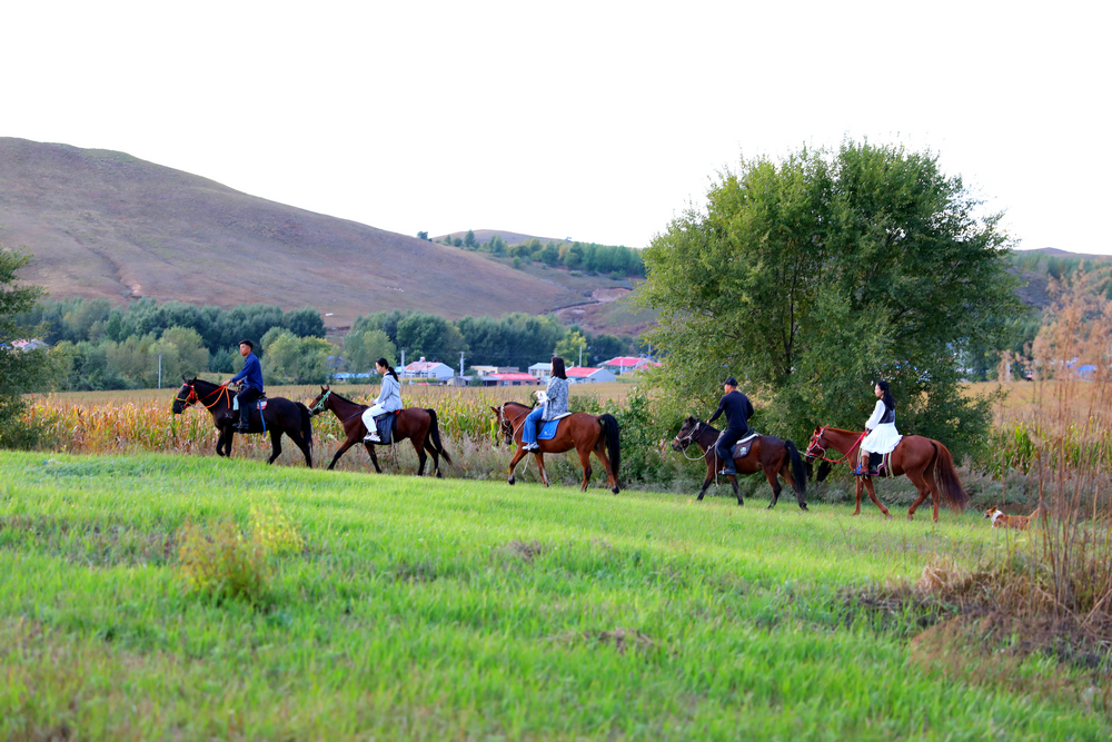 輝煌“十四五”奮進(jìn)的答卷 ∣ 葛根廟鎮(zhèn)開啟“重走騎兵路”紅色主題騎行線路