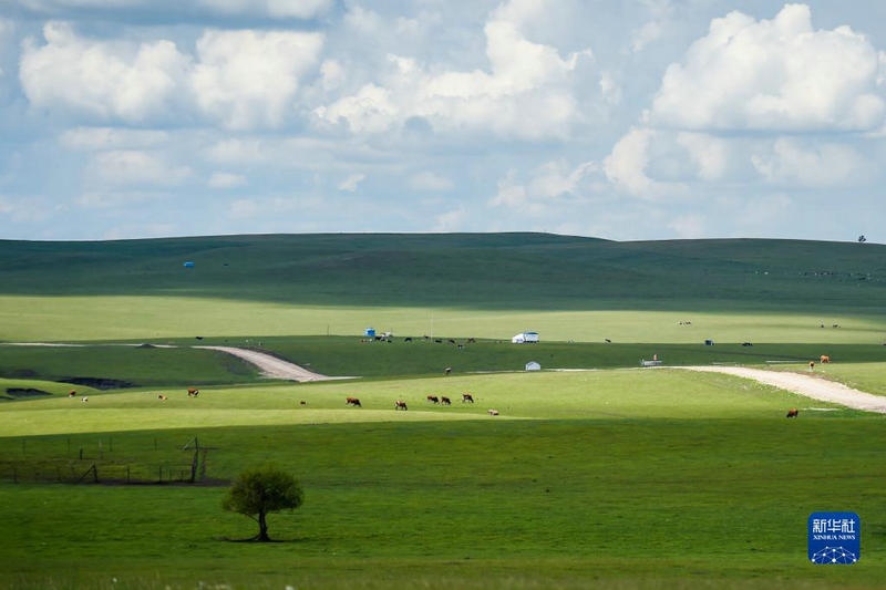 1656664608207284.jpg 00300572898_4e3a3713_副本.jpg