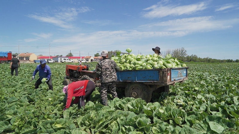 1658289102958575.jpeg a52ff1427975daac005e2730625f58ce_副本.jpeg