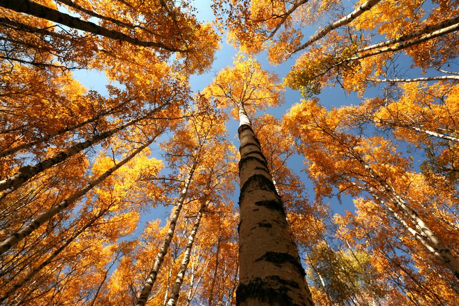 1667391033904441.jpg 04.jpg