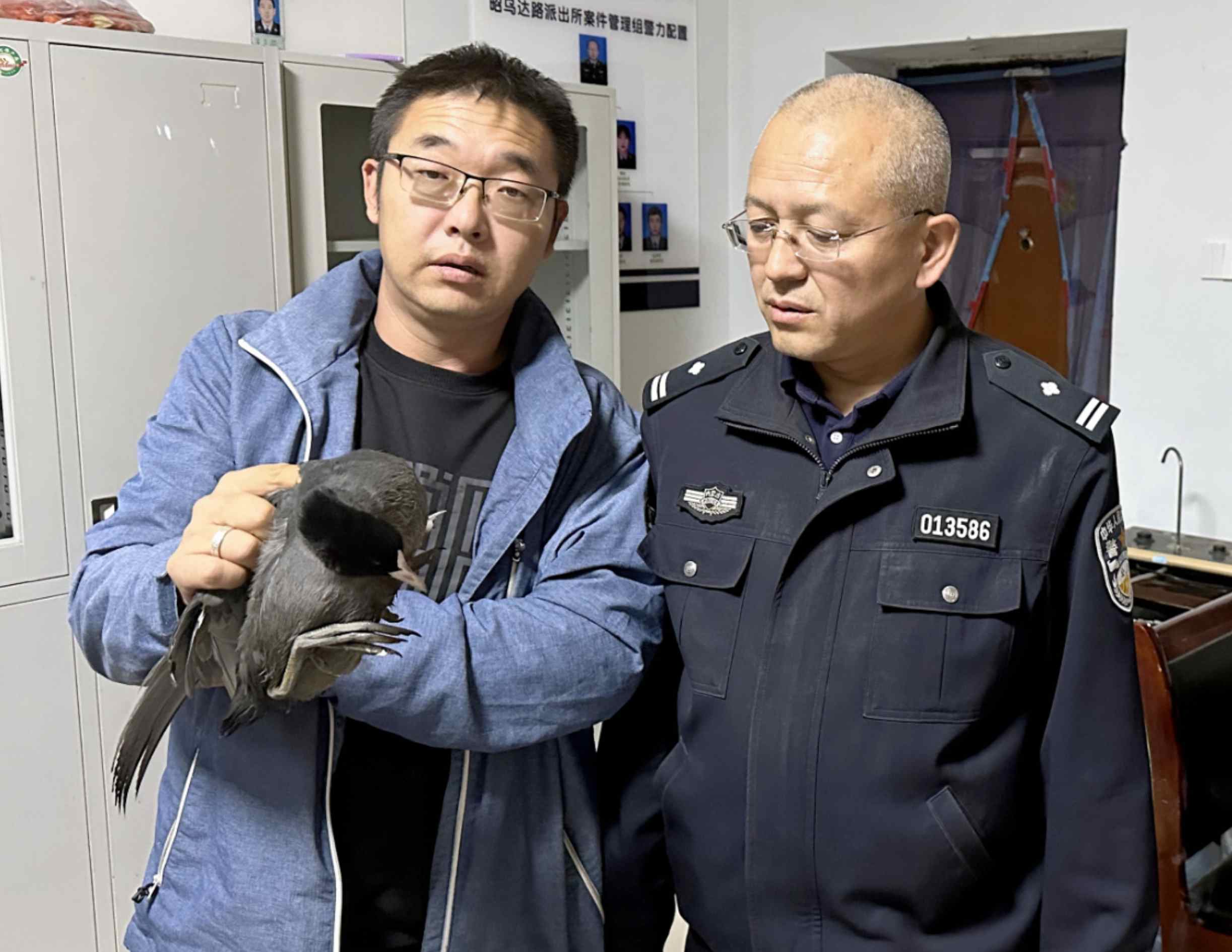 1696838531442581.jpeg 1696838531442581.jpeg