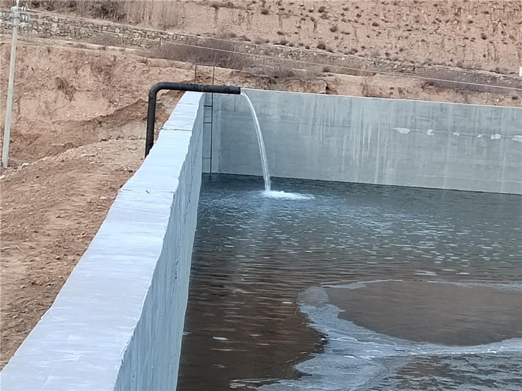 1700226272747375.jpg W020231117317716077065.jpg