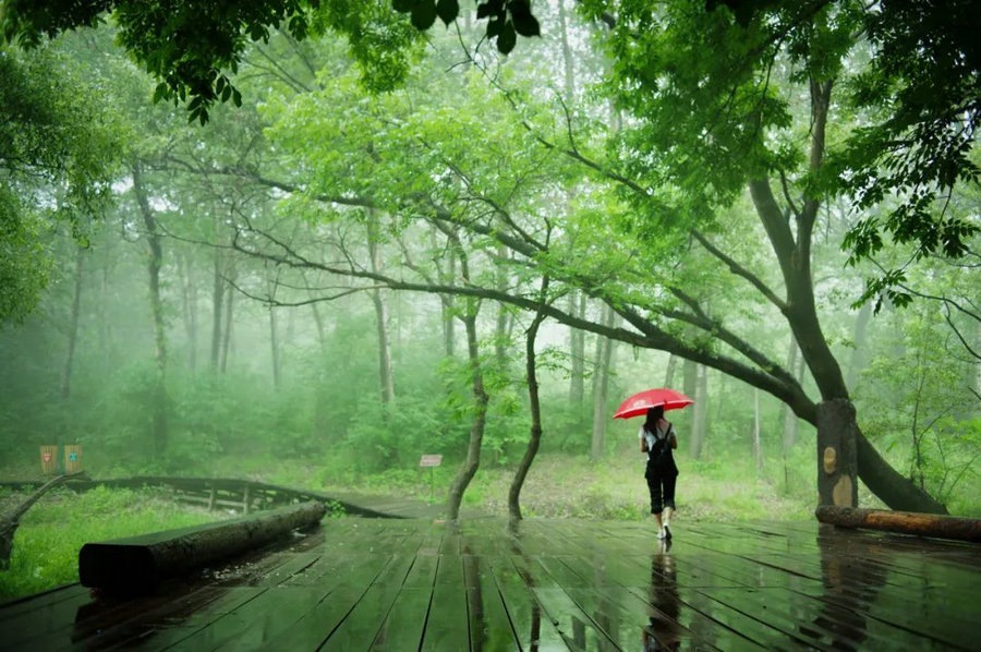 1722925945716263.jpg 640 (15).jpg