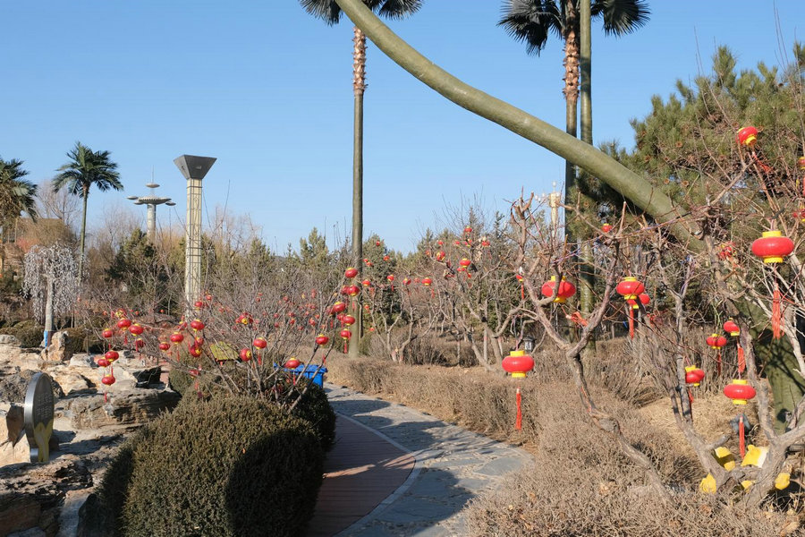 1737778577975014.jpg 腦暴1.jpg