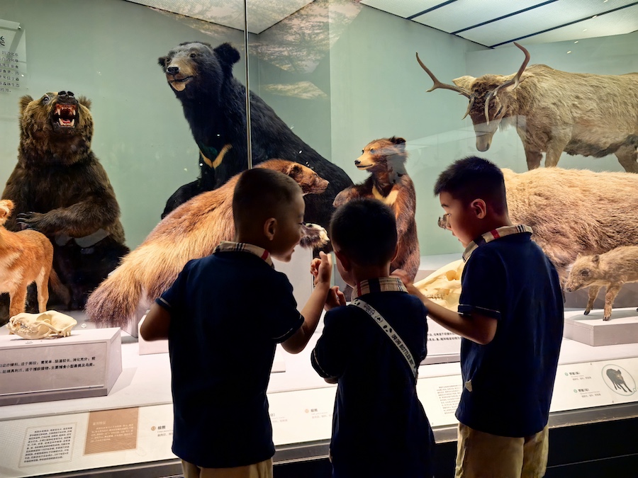 1750142949108922.jpeg WechatIMG11350.jpeg