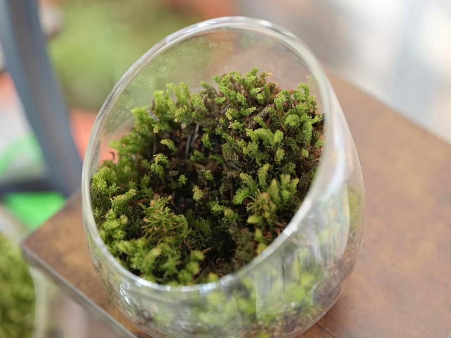 1757680822110935.jpeg WechatIMG10152.jpeg