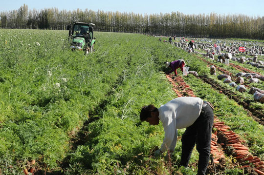 1760062828679471.jpg 赤峰3.jpg