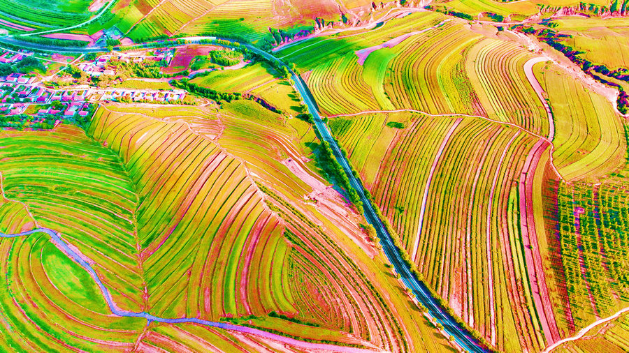 1763023170702752.jpg 翁牛特毛山東鄉(xiāng)的蕎麥田.jpg