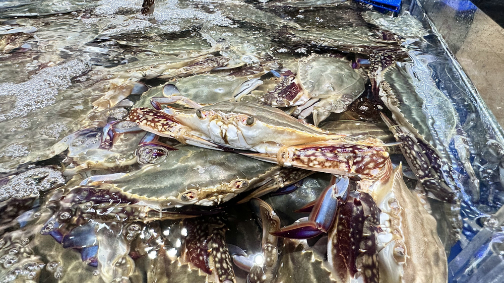 1765264349953412.jpg 微信圖片_20250814102816.jpg