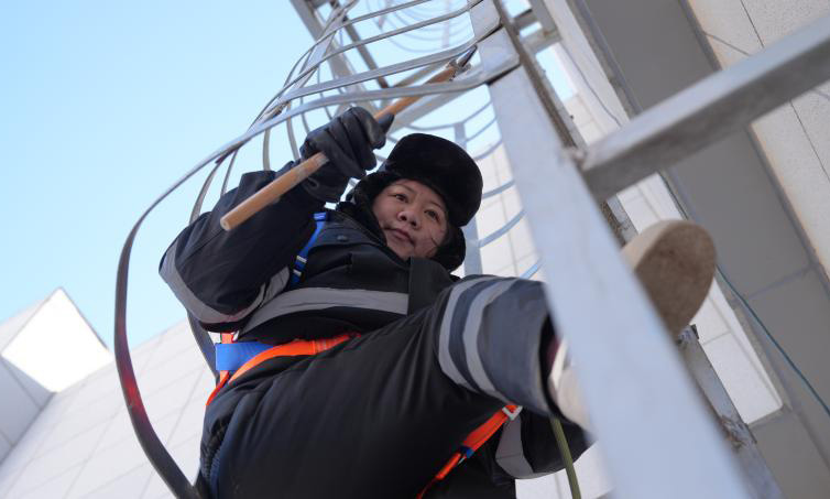 1772181525100905.png _DSC2271.png