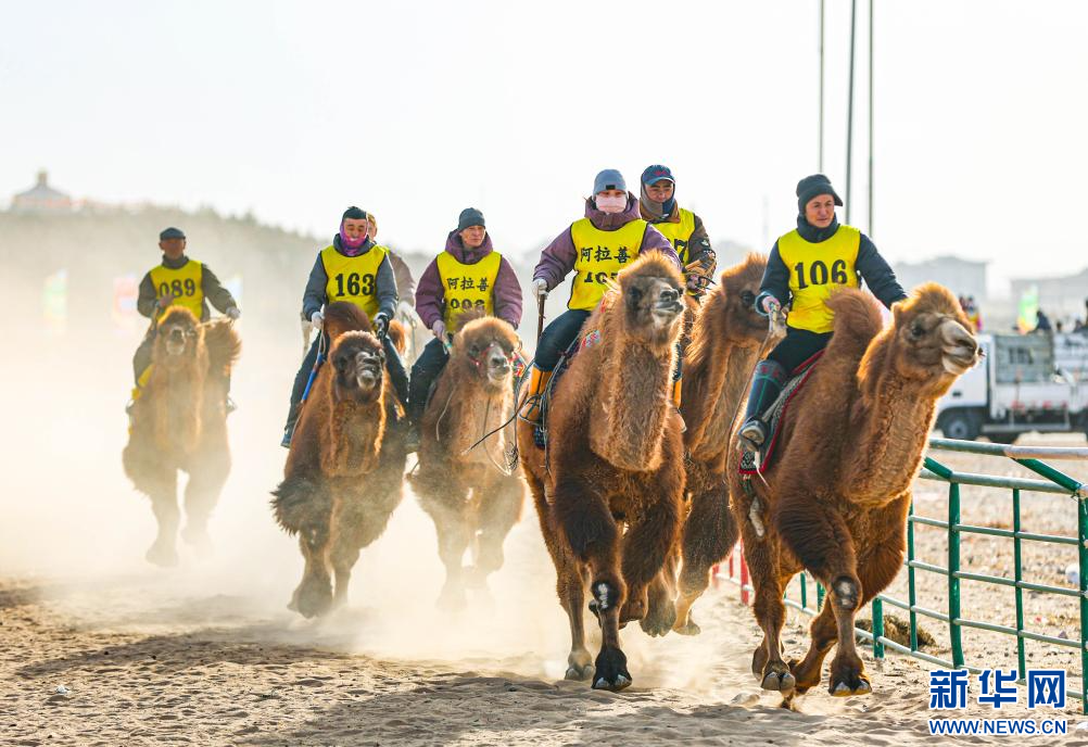 3月7日，賽駝手在6000米成年駱駝場(chǎng)地速度賽比賽中。.jpg