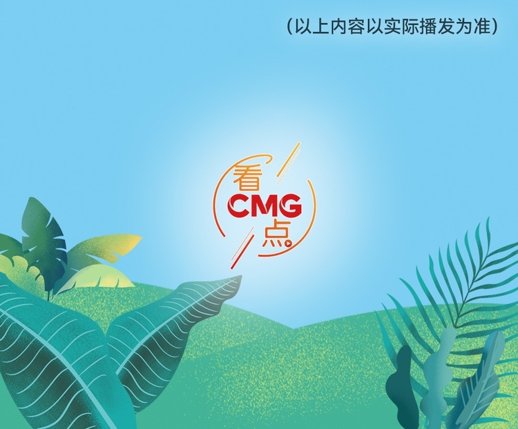 總臺周看點，來了！