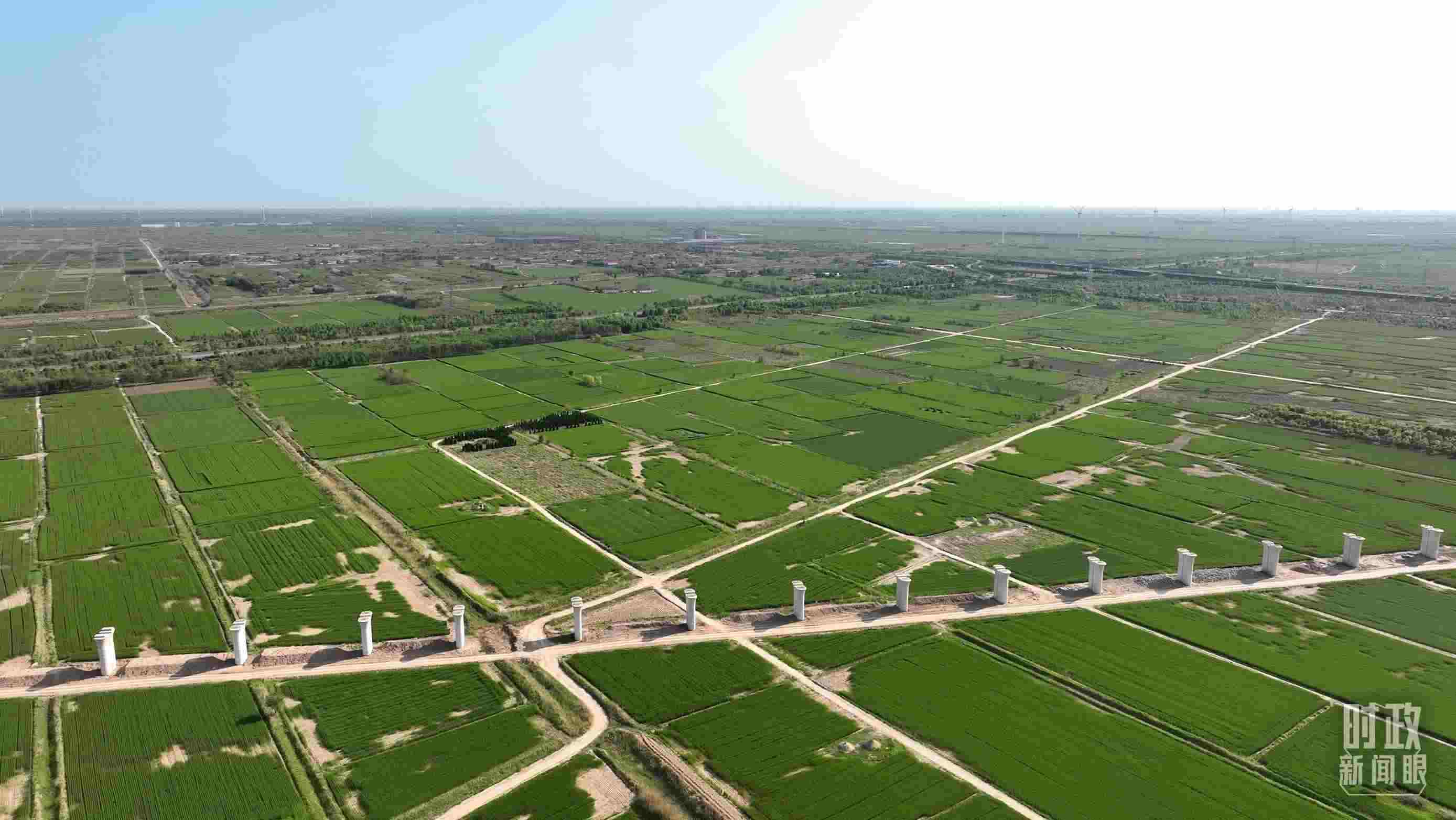 時政新聞眼丨習近平考察河北滄州，關注這些“國之大者”