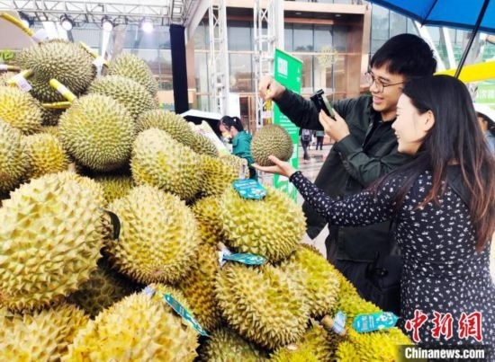 圖為廣西南寧市民在選購榴蓮。黃艷梅 攝