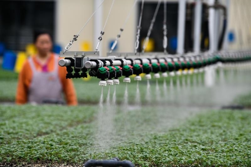 工人在貴陽市開陽縣楠木渡蔬菜良種繁育中心查看自動(dòng)噴灌系統(tǒng)給辣椒苗澆水情況（2023年5月24日攝）。新華社記者 楊文斌 攝