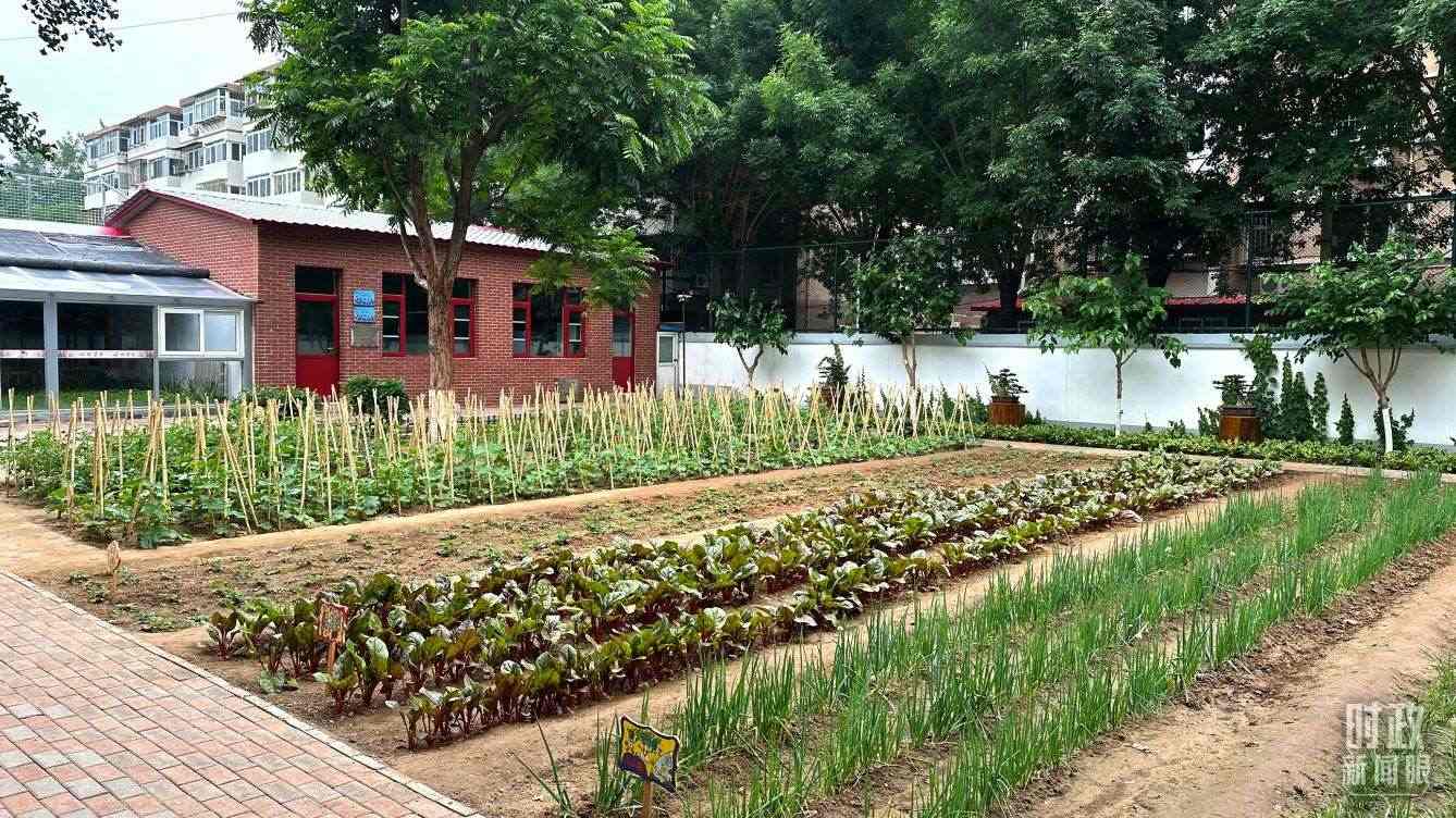 △學(xué)生農(nóng)場(chǎng)。（總臺(tái)央視記者趙化拍攝）