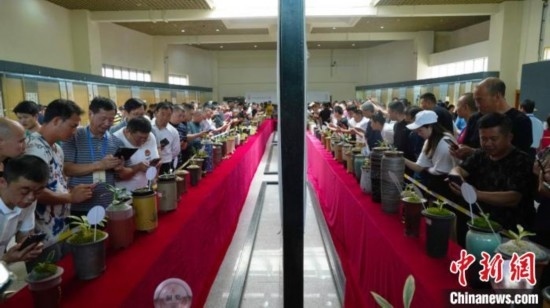 圖為活動現(xiàn)場。 云南省委臺辦供圖