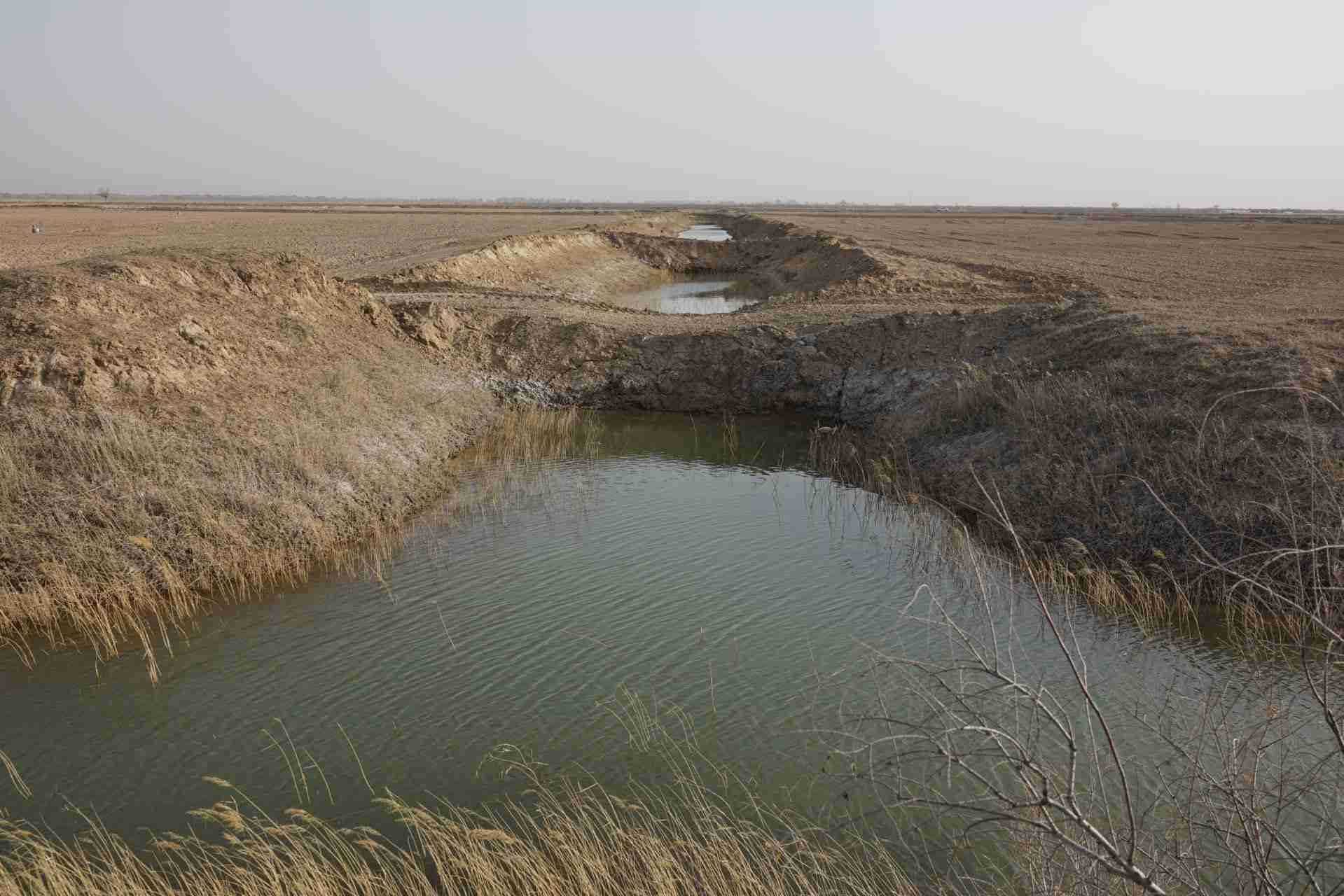 堵塞的排堿渠。 人民網(wǎng)記者 游天燚攝