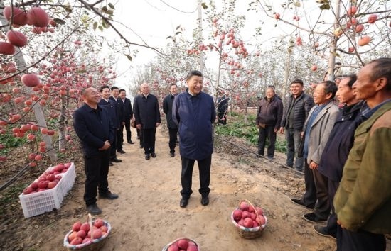 2022年10月26日，習(xí)近平總書記在陜西省延安市安塞區(qū)高橋鎮(zhèn)南溝村蘋果園同老鄉(xiāng)們親切交流。