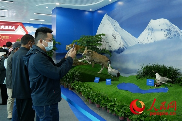 6月17日，觀眾正在觀展。人民網(wǎng) 韋衍行攝