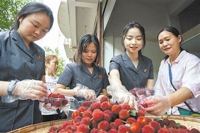 志愿者和村民一起將摘下的楊梅裝進食品盒里。