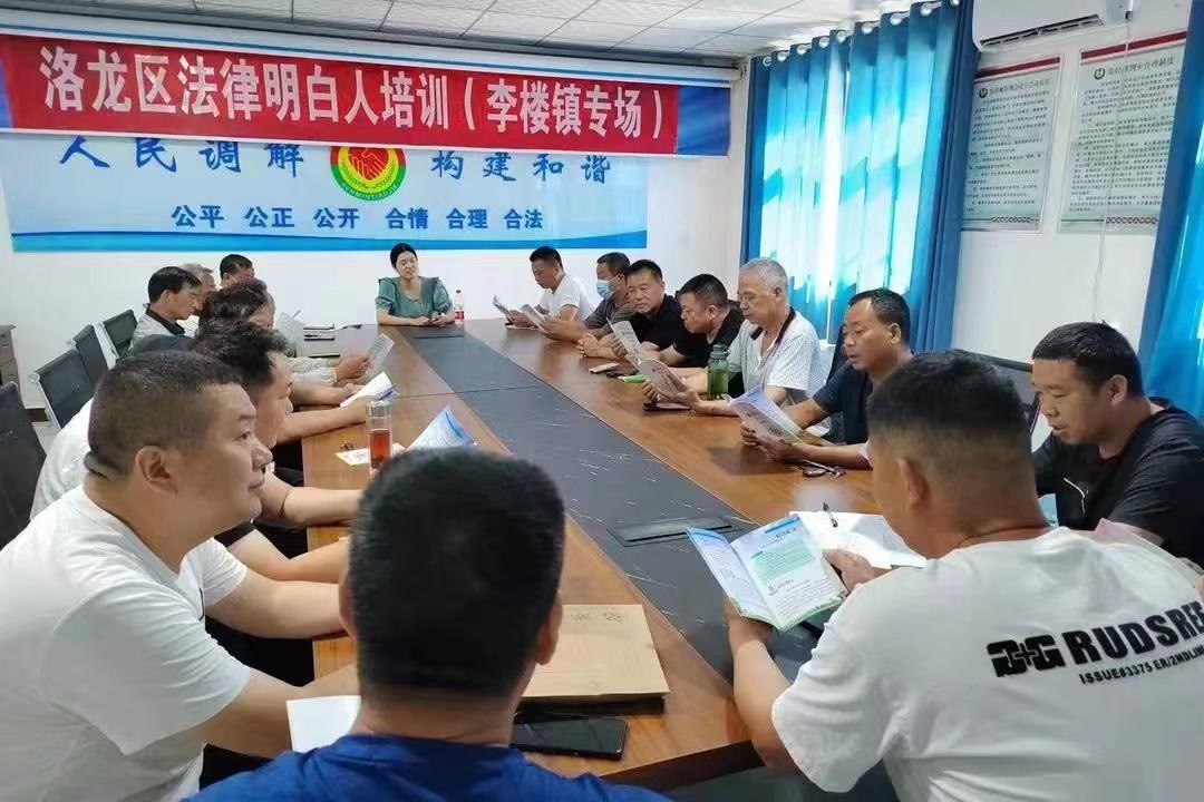 河南省洛陽市洛龍區(qū)李樓司法所開展《民法典》專題普法講座暨“法律明白人”培訓(xùn)。河南省司法廳供圖