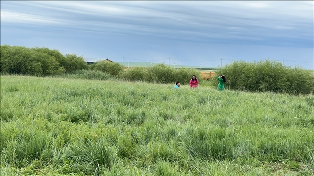 圖為游客在草原上拍照游玩。人民網(wǎng)記者 金洪花攝