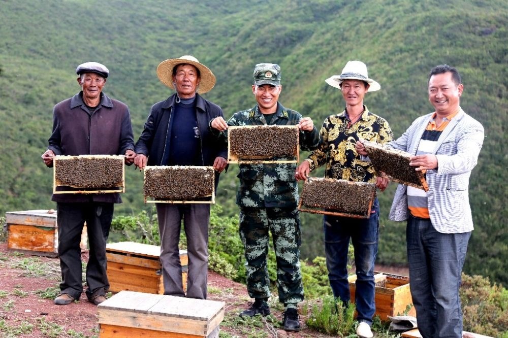 ↑武警四川總隊(duì)涼山支隊(duì)精準(zhǔn)幫扶昭覺(jué)縣梭梭拉打村發(fā)展養(yǎng)蜂產(chǎn)業(yè)，總隊(duì)駐村扶貧干部布哈（中）和村民一同展示豐收成果（2019年6月12日攝）。新華社發(fā)（楊劍 攝）