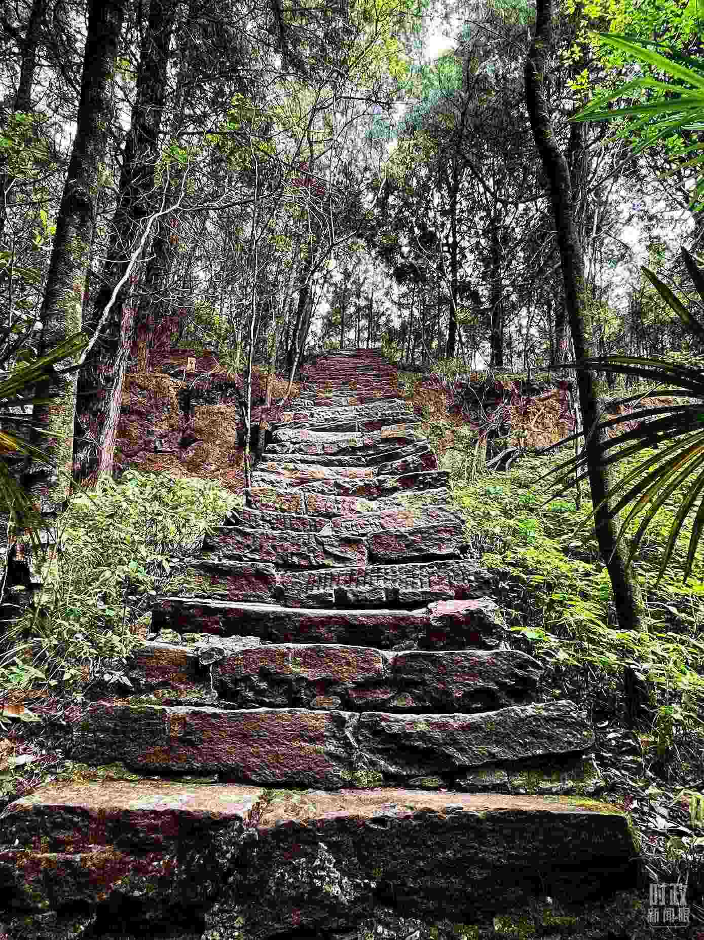 △古蜀道。（總臺央視記者郭曉龍拍攝）