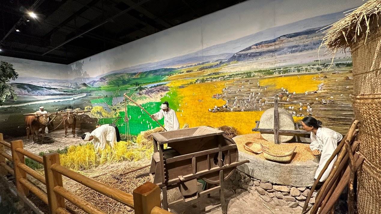 《朝鮮族民俗陳列》展廳。人民網(wǎng)記者 金洪花攝