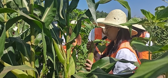 北京工商大學(xué)組織學(xué)生開展暑期社會(huì)實(shí)踐。學(xué)校供圖