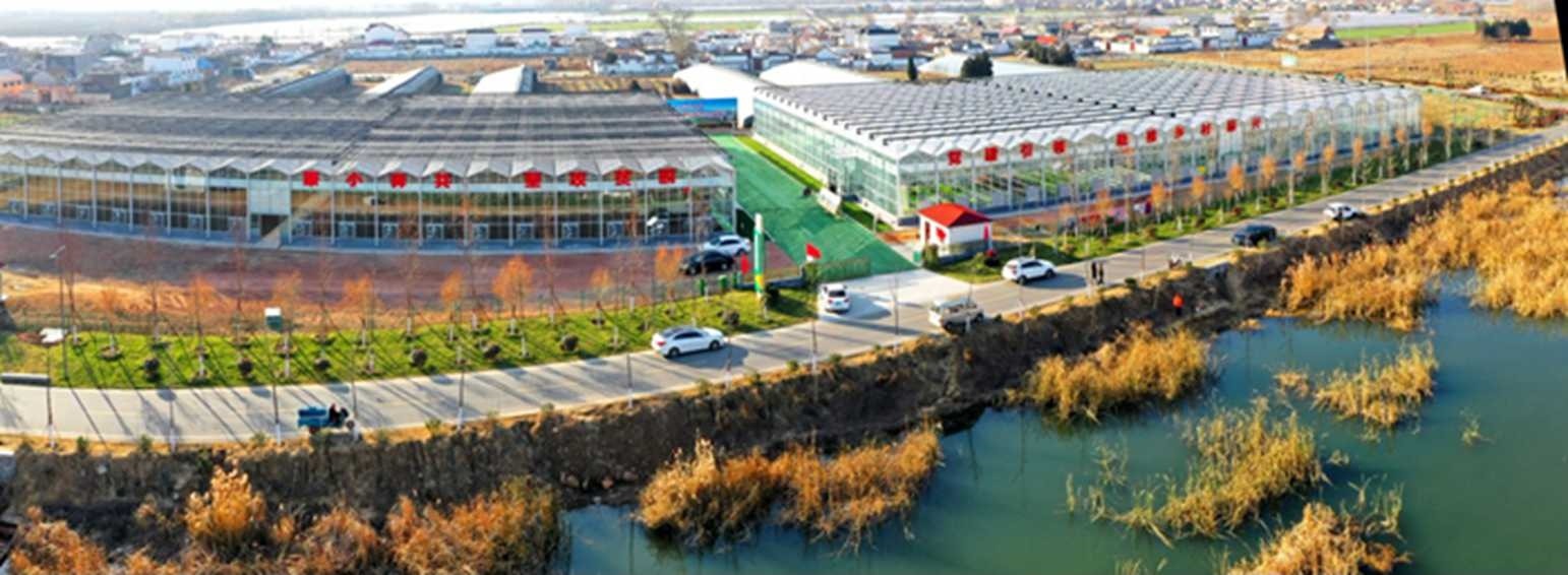 白樓灣三產(chǎn)融合發(fā)展。宋道森攝