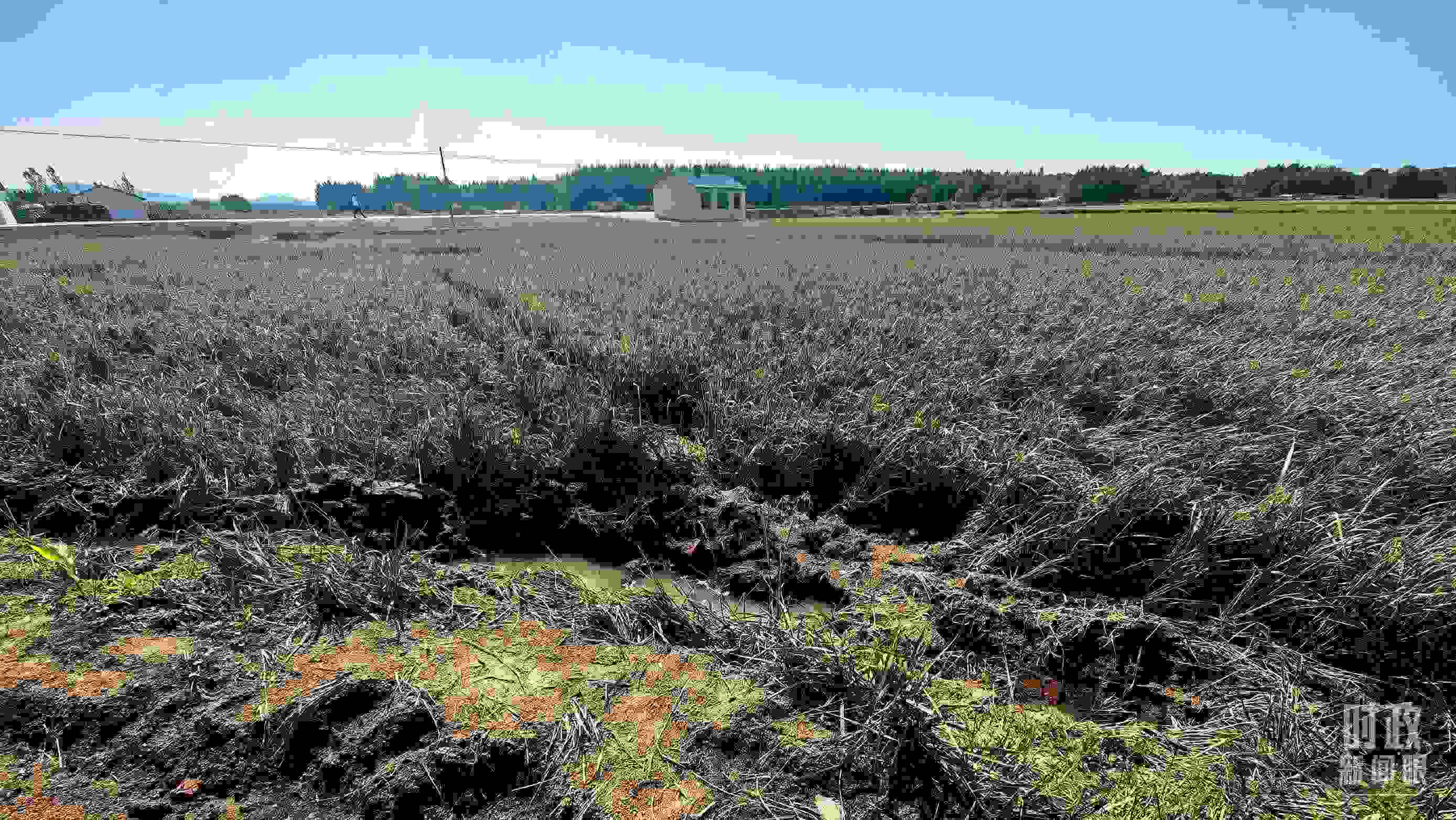 △圖為龍王廟村在洪災(zāi)中受損的農(nóng)田。（總臺央視記者史偉拍攝）