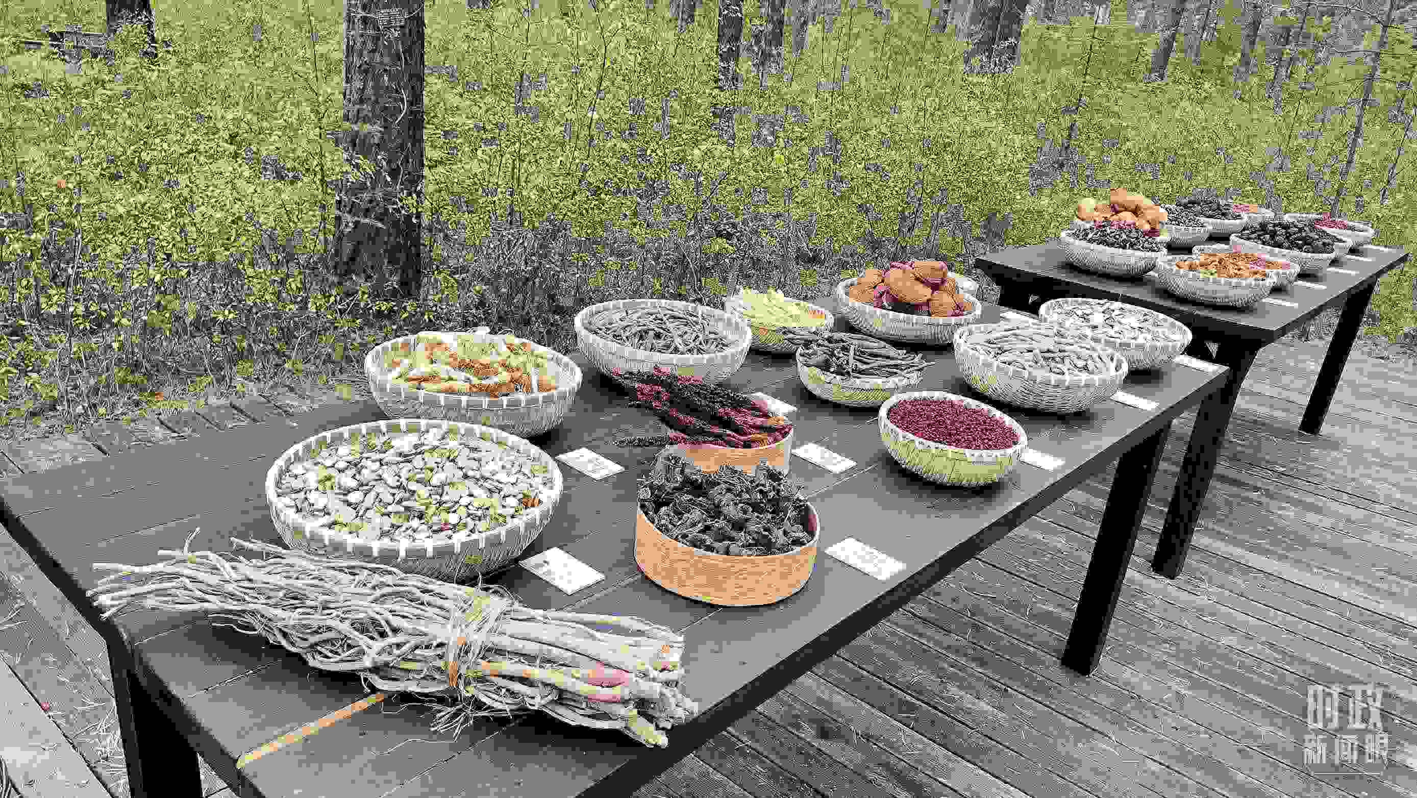 △林場里的食用菌、林果等特產(chǎn)。（總臺央視記者楊立峰拍攝）