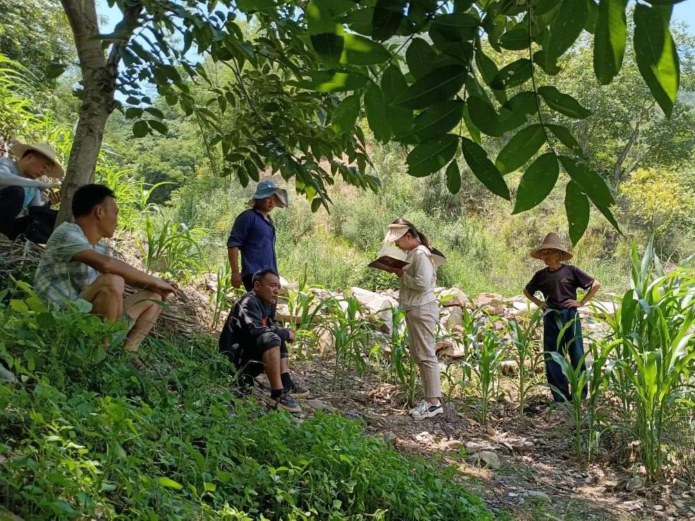 2023年7月18日，兩家村民發(fā)生土地方面的糾紛，李江女（右二）在記錄情況。受訪者供圖