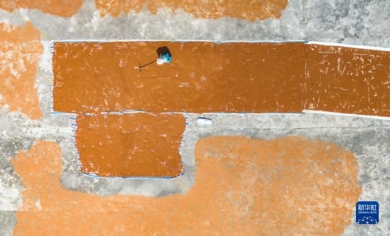 9月16日，農(nóng)民在貴州省安順市西秀區(qū)大西橋鎮(zhèn)吉昌村晾曬高粱（無人機照片）。