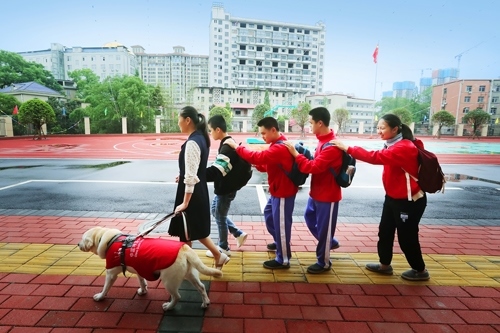 賈君婷仙送同學(xué)到校門(mén)口 彭學(xué)平攝