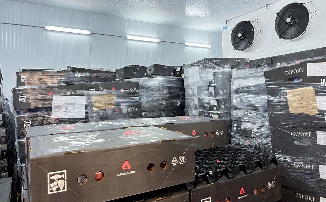 恒溫冷庫(kù)中，包裝好的牛肉等待發(fā)往中國(guó)。人民網(wǎng)記者 朱虹攝