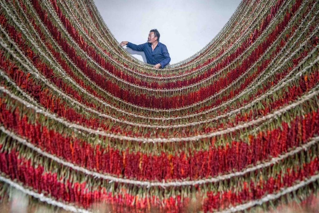 在貴州省畢節(jié)市大方縣理化鄉(xiāng)金雞村，村民查看辣椒烘干情況。新華社發(fā) 羅大富攝